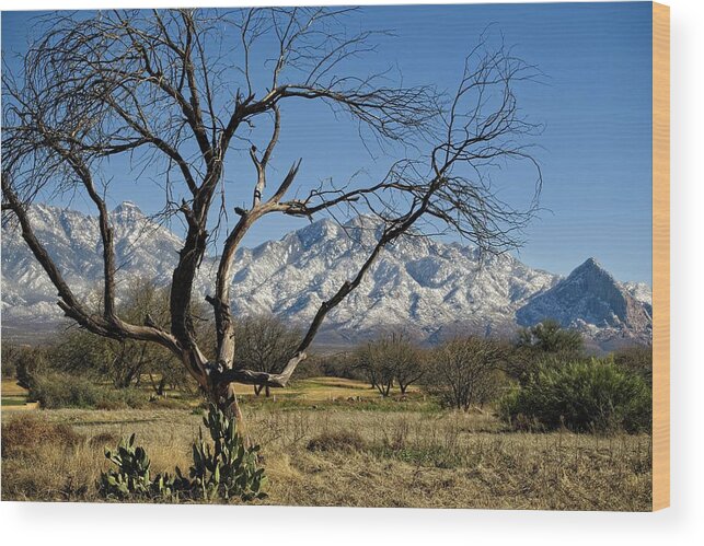 Arizona Wood Print featuring the photograph Where I Want To Be by Lucinda Walter