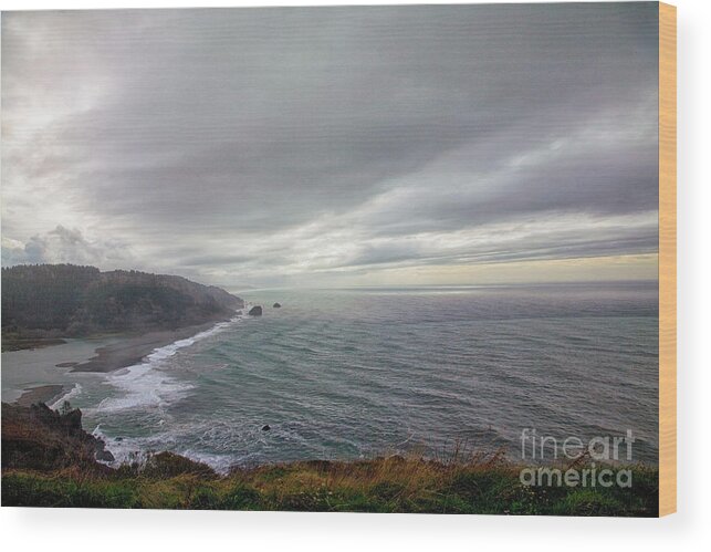 Redwoods Wood Print featuring the photograph Where the Redwoods meet the Sea by Timothy Johnson