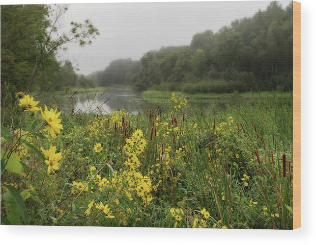 Wildflowers Wood Print featuring the photograph Whisper of Autumn - foggy Compass plant wildflowers on banks of the Yahara river by Peter Herman