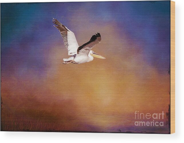  White Pelican Wood Print featuring the digital art White Pelican at Sunset by Judi Bagwell