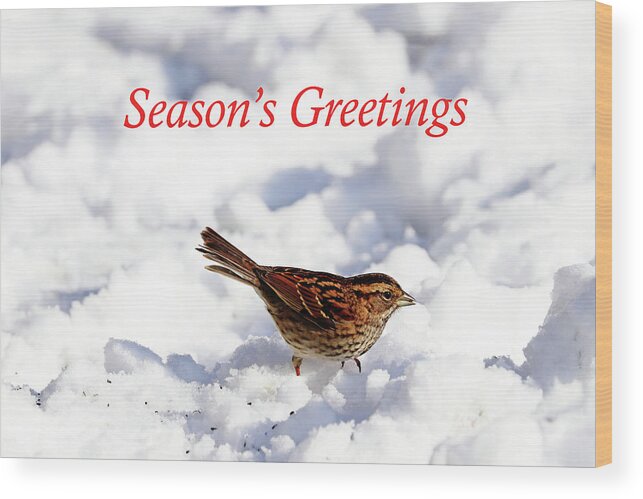 Sparrow Wood Print featuring the photograph White Throated Sparrow In Snow Season's Greetings by Debbie Oppermann