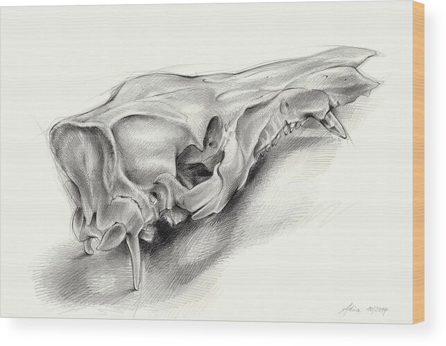 Wild Boar Wood Print featuring the drawing Wild boar skull and metamorphosis of life 1 by Adriana Mueller