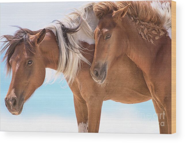 Ocean Breeze Wood Print featuring the photograph Wild Horses - By the sea by Rehna George