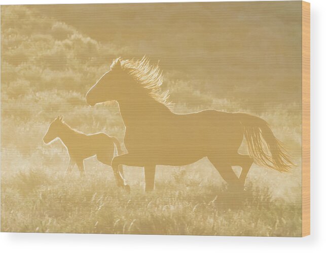 Horse Wood Print featuring the photograph Wild Horses by Mango Art