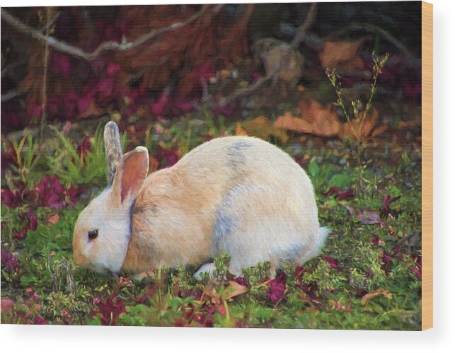 White Rabbit Wood Print featuring the photograph Wild White Bunny by Peggy Collins