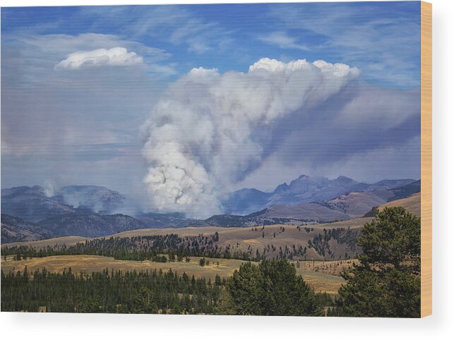 Wildfires In Yellowstone Wood Print featuring the photograph Wildfires in Yellowstone by Carolyn Derstine
