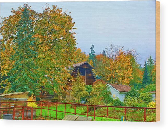 Landscape Wood Print featuring the photograph Wilkinson Farm Park by Bill TALICH