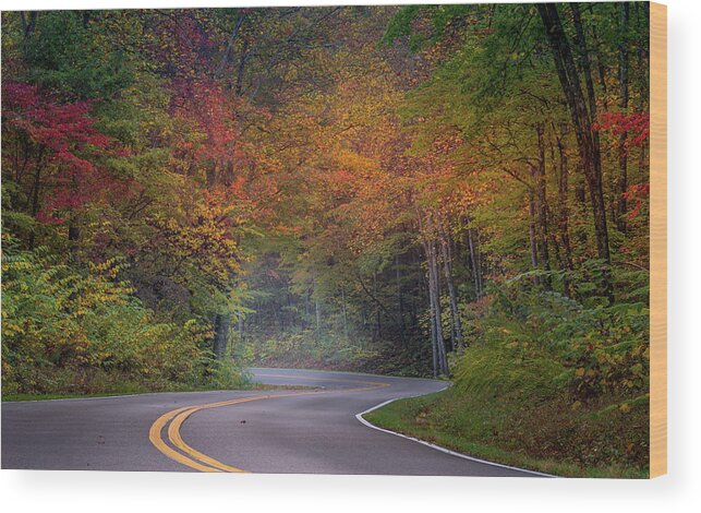 Fall Colors Wood Print featuring the photograph Winding Road by Darrell DeRosia