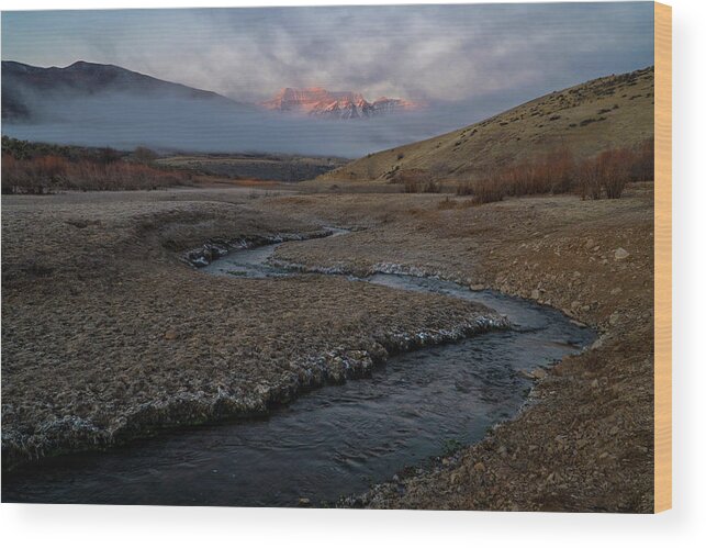 Utah Wood Print featuring the photograph Winding Stream by Wesley Aston