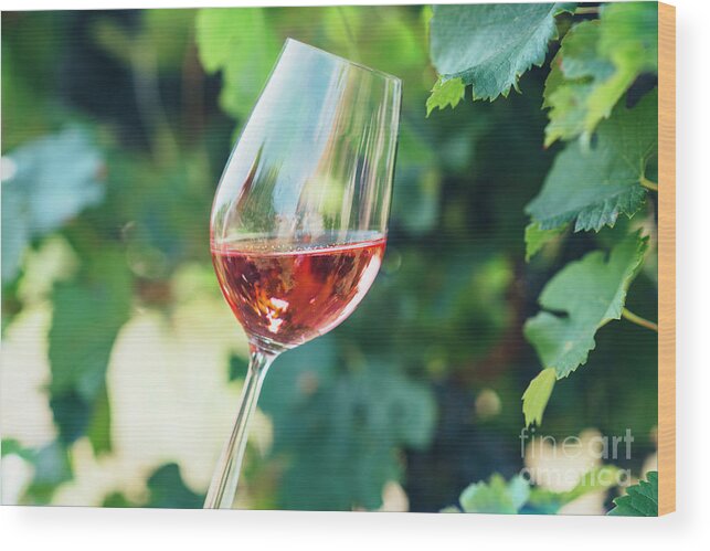 Wine Wood Print featuring the photograph Wine tasting in outdoor winery. by Jelena Jovanovic