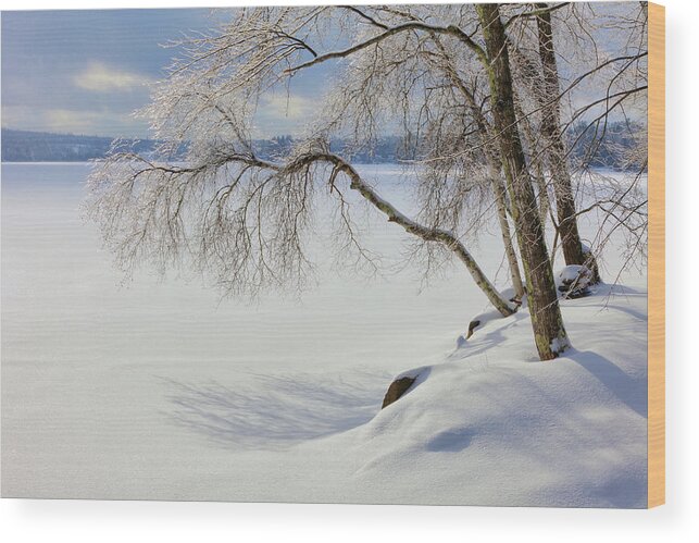 Winter Wood Print featuring the photograph Winter 3468 by Greg Hartford