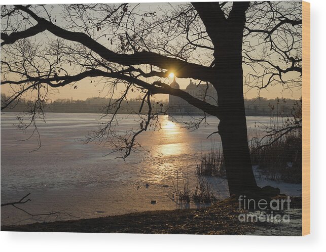 Dreamy Wood Print featuring the photograph Winter sunset at Moritzburg Castle 3 by Adriana Mueller