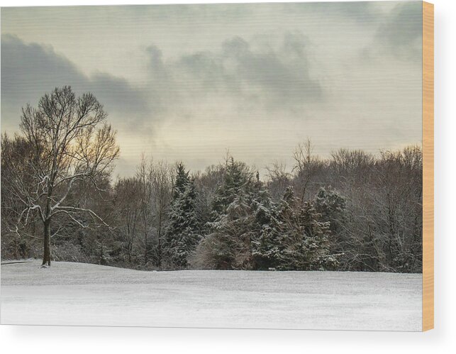Winter Wood Print featuring the photograph Winter Evening in the Ozarks by Allin Sorenson