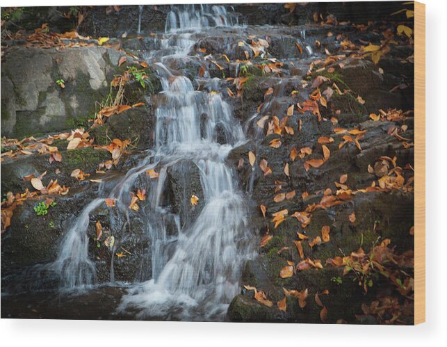 Falls Wood Print featuring the photograph Winter Falls_5132 by Rocco Leone