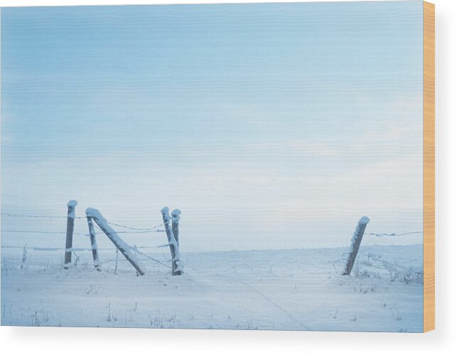 Winter Wood Print featuring the photograph Winter Fence by Karen Rispin