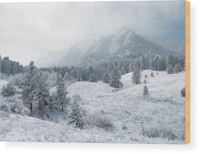 Flatirons Wood Print featuring the photograph Winter Flatirons 2 by Aaron Spong