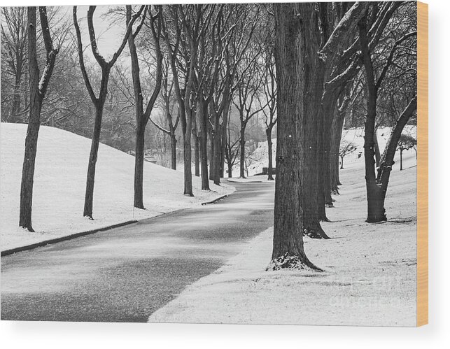Snow Wood Print featuring the photograph Winter in Elmwood Cemetery by Jim West