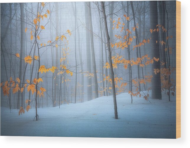 Winter Wood Print featuring the photograph Winter in forest by Henry w Liu