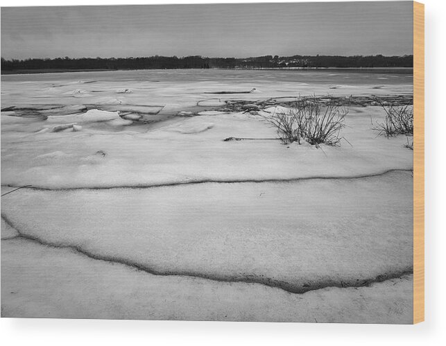 Fine Art Photography Wood Print featuring the photograph Winter Landscape XIII BW by David Gordon