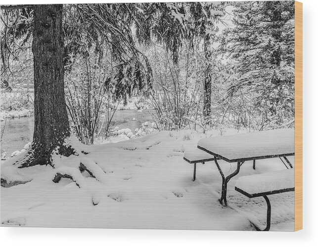 Bench Wood Print featuring the photograph Picnic Table in Snow by Tom Potter