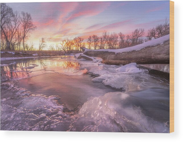 Winter Wood Print featuring the photograph Winter Sunrise on the Platte by Darren White