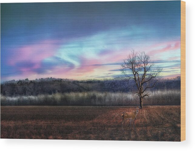 Winter Wood Print featuring the photograph Winter Sunset in Isolation by Bill and Linda Tiepelman