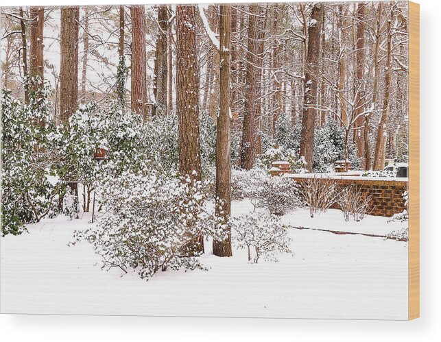 Snow Wood Print featuring the photograph Winter Wonderland by Ola Allen