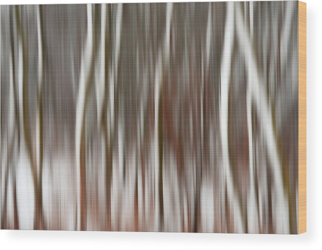 Icm Wood Print featuring the photograph Wisconsin Snowblurred -  Intentional camera motion at a snowy tree grove by Peter Herman