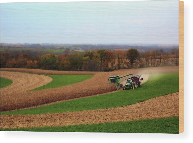 Wisconsin Farm Farming Corn John Deere Combine Tractor Contour Agriculture Harvest Landscape Scenic Wood Print featuring the photograph WisContours - Corn harvest on the driftless prairie of SW Wisconsin by Peter Herman