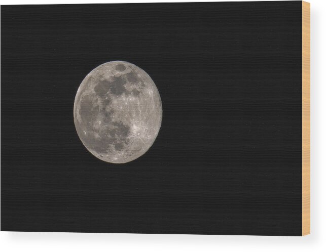 Wolf Moon Wood Print featuring the photograph Wolf Moon by Robert J Wagner