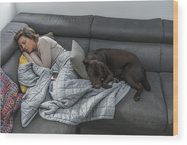 Pets Wood Print featuring the photograph Woman asleep on sofa with pet dog by Justin Paget
