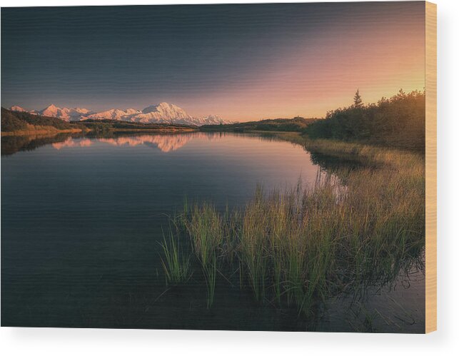 Alaska Wood Print featuring the photograph Wonder lake reflections by Henry w Liu