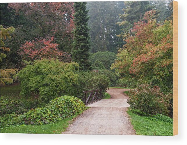 Jenny Rainbow Fine Art Photography Wood Print featuring the photograph Wooden Bridge in Pruhonice Park by Jenny Rainbow