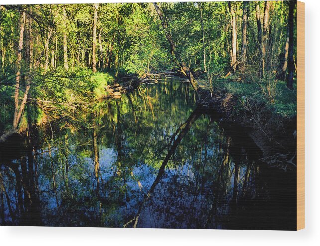 Tranquil Wood Print featuring the photograph Woodland Calm No.18 - Accotink Stream Reflections by Steve Ember