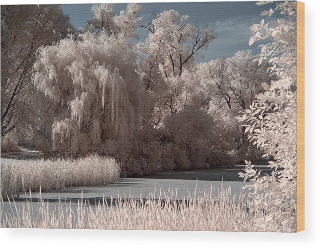 Viking County Park Wood Print featuring the photograph Yahara River at Viking County Park in Stoughton Wisconsin by Peter Herman