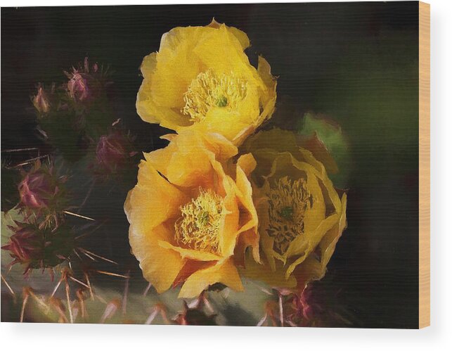 Cactus Flowers Wood Print featuring the mixed media Yellow cactus flowers by Tatiana Travelways