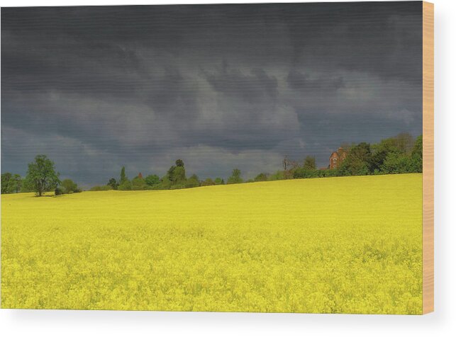 Landscape Wood Print featuring the photograph Yellow ocean 3 by Remigiusz MARCZAK