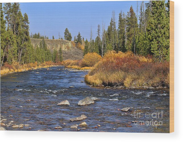 Fine Art Wood Print featuring the photograph Yellowstone #2667 by Rosanna Life