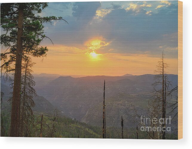 Sunset Wood Print featuring the photograph Yosemite Golden Sunset by Abigail Diane Photography
