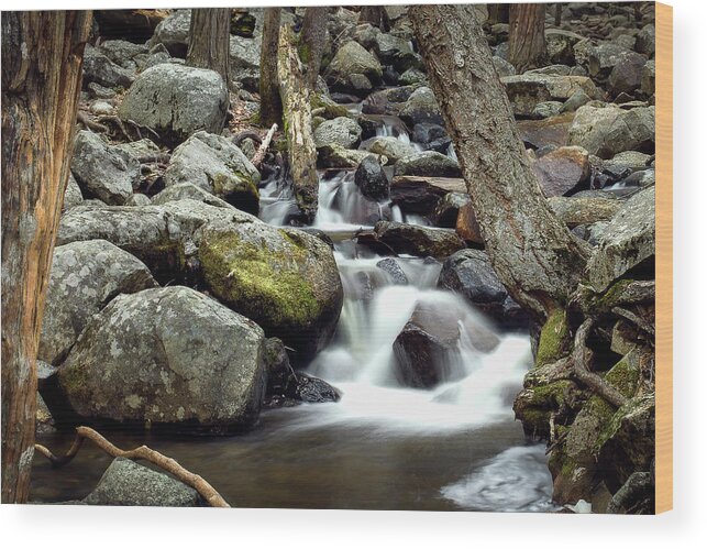 Water Wood Print featuring the photograph Yosemite Stream by Gary Geddes