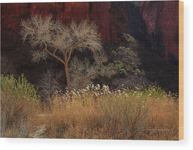 Utah Wood Print featuring the photograph Zion Valley by Wendell Thompson