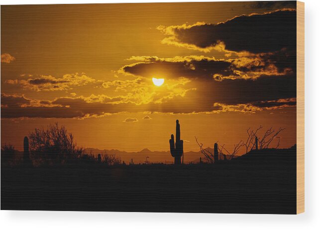 Sunset Wood Print featuring the photograph A Golden Southwest Sunset by Saija Lehtonen