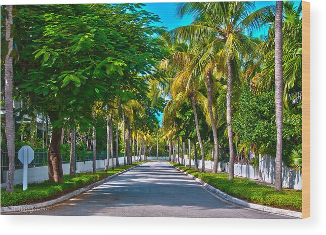 Florida Wood Print featuring the photograph A Street of Palms by Brenda Jacobs