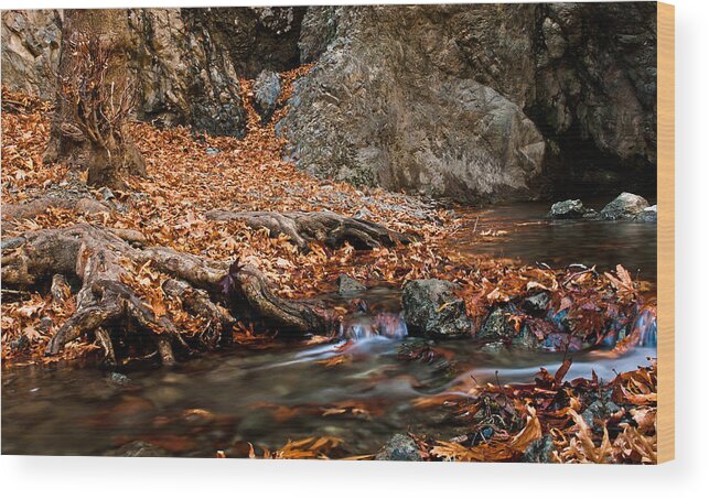 Autumn Wood Print featuring the photograph Autumn landscape by Michalakis Ppalis