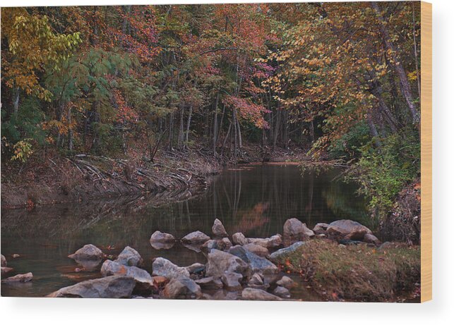 Autumn Wood Print featuring the photograph Autumn Leaves Reflecting In the Stream by Todd Aaron