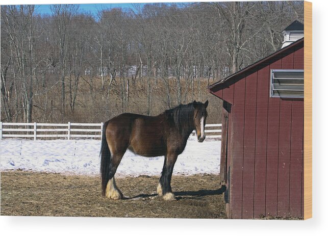 Horses Wood Print featuring the photograph Beautiful Stance by Gerald Mitchell