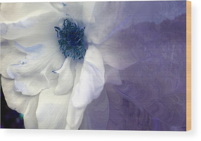 Blue Wood Print featuring the photograph Blue Rose by Davina Nicholas