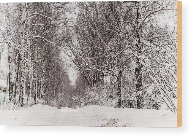 Snow Wood Print featuring the photograph By the Snowy Path. Russia by Jenny Rainbow