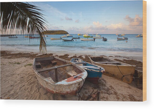Vieques Wood Print featuring the photograph Caribbean Morning by Patrick Downey