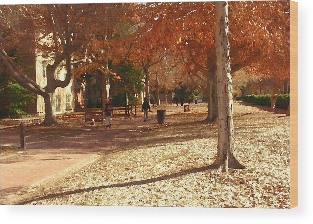 William And Mary College Wood Print featuring the photograph College of William and Mary abstract by Jacqueline M Lewis